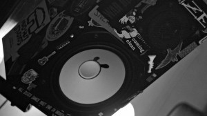 MUDHUT NS-10S